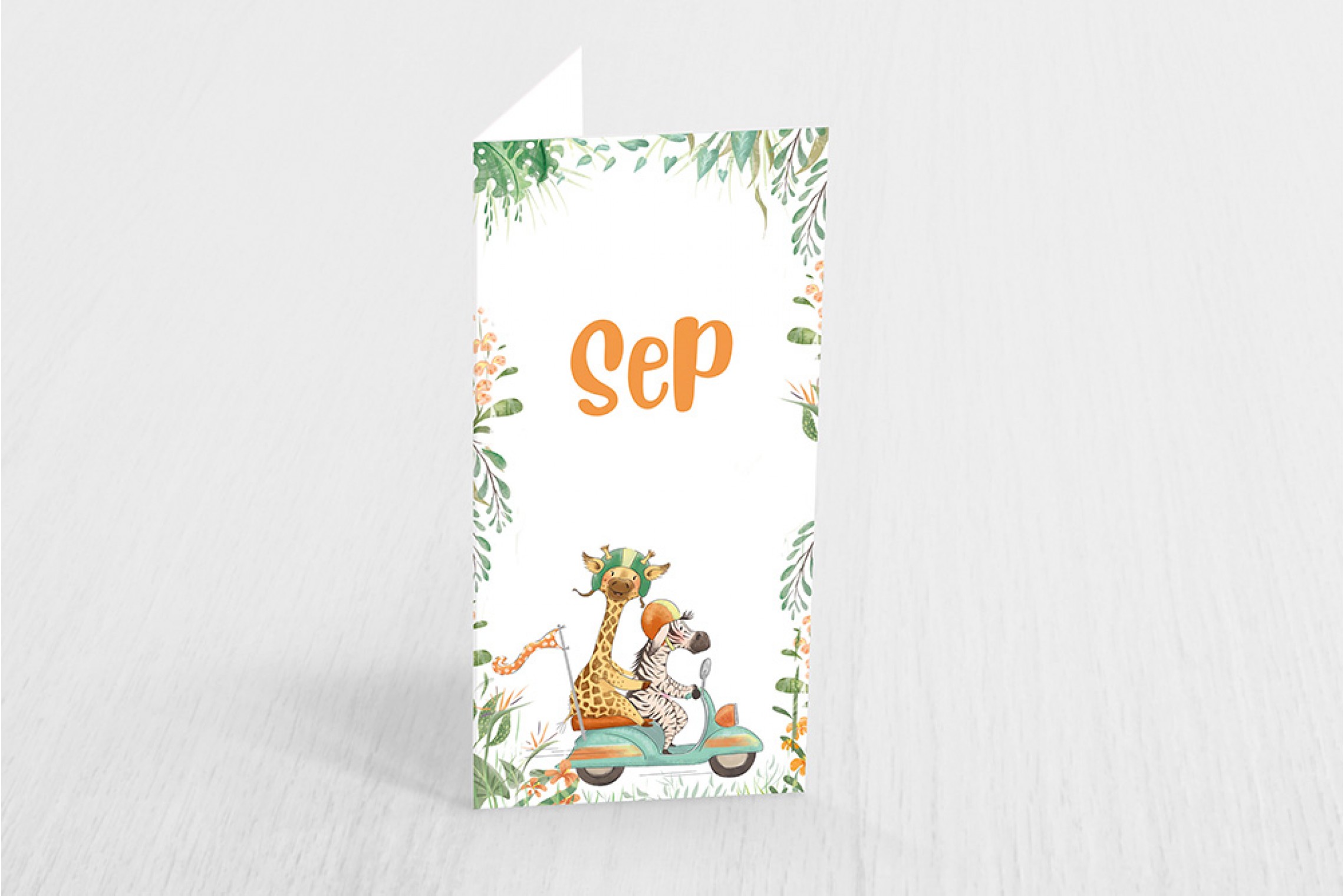 Zebra en giraf